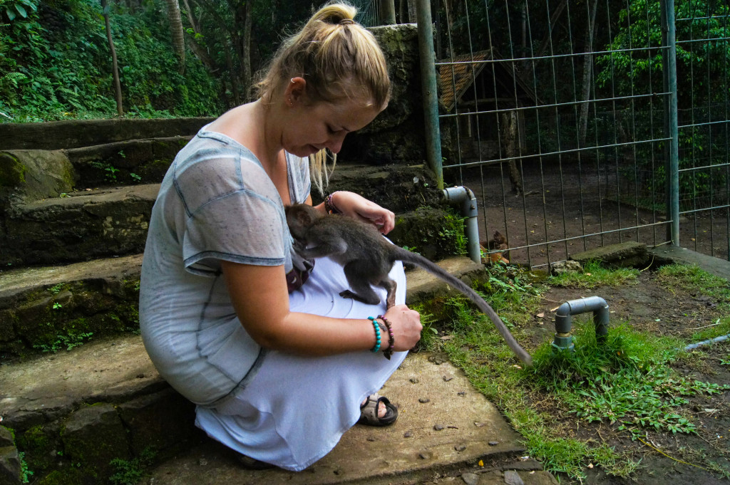 Ubud, Indonesia: getting motorboated by a monkey.