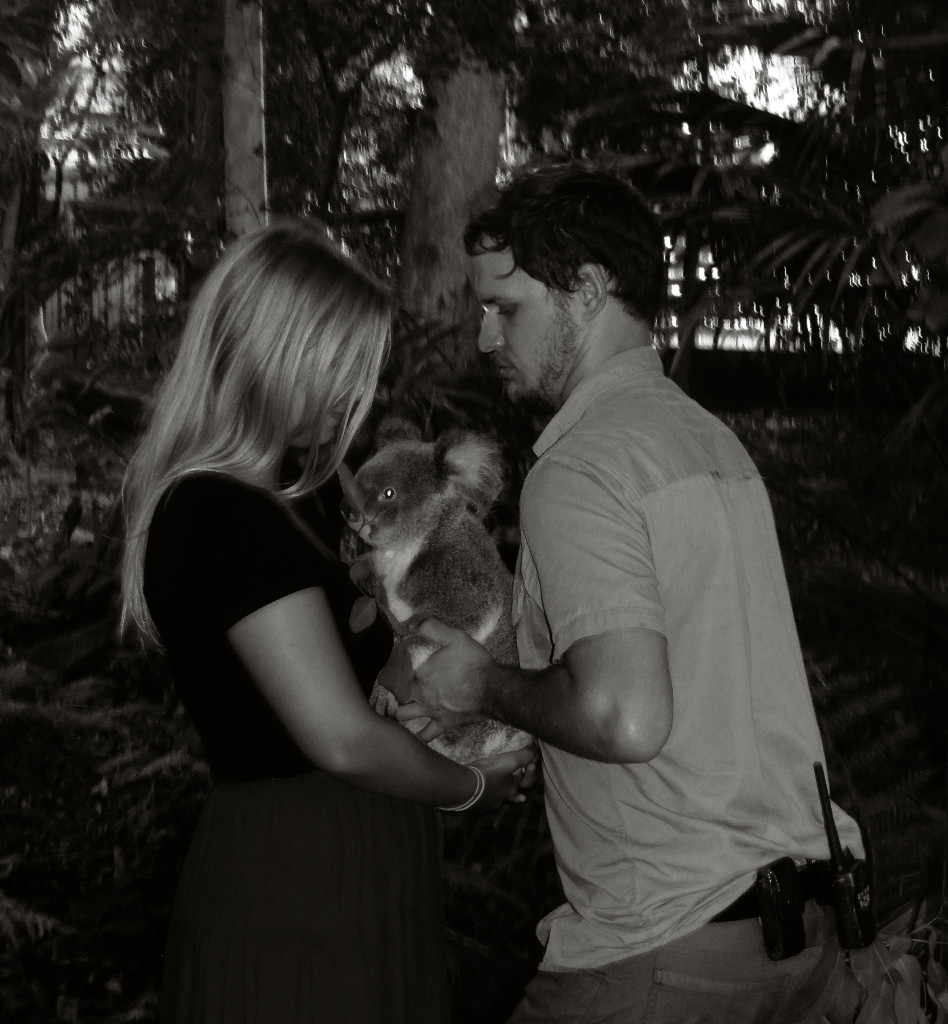 Brisbane, Australia: holding a koala