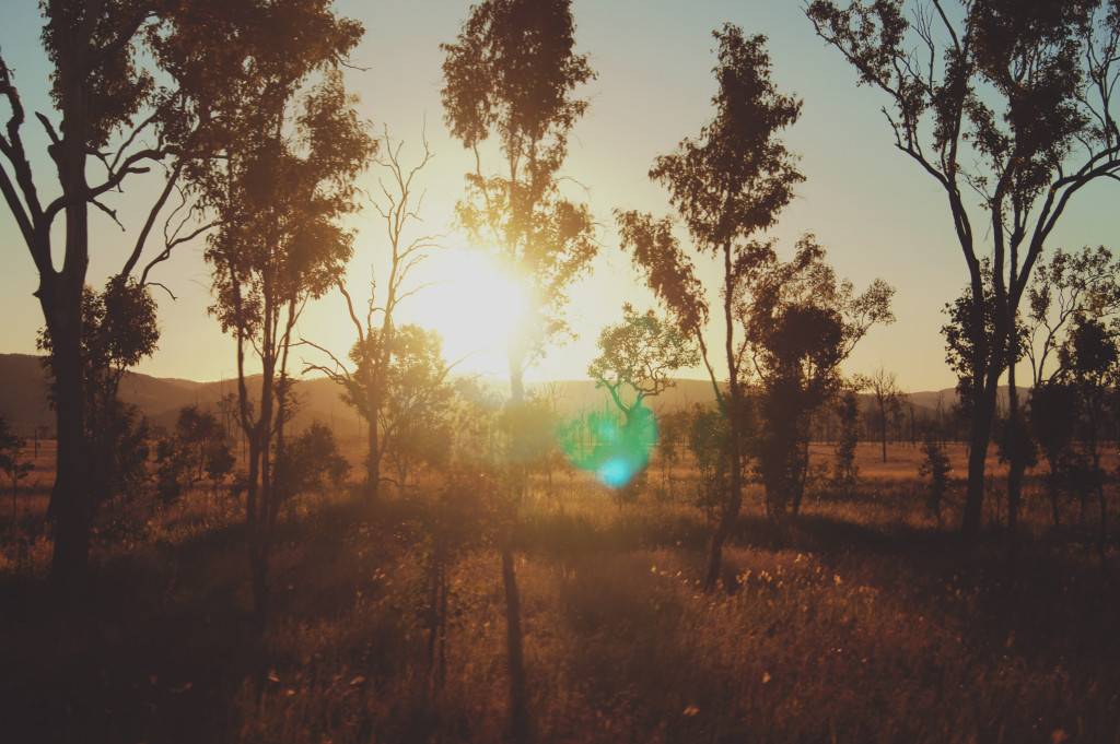 Queensland, Australia: Roadtrip