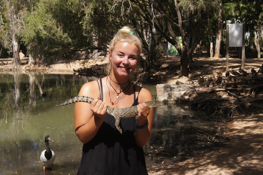 Townsville, Australia: a tiny crocodile