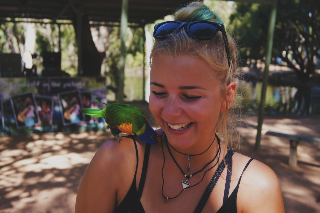 Townsville, Australia: rainbow parrot trying to eat my necklace.